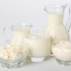 Productos lácteos